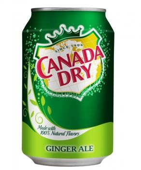 Canada Dry Ginger Ale (24 x 0,33 Liter cans PL)